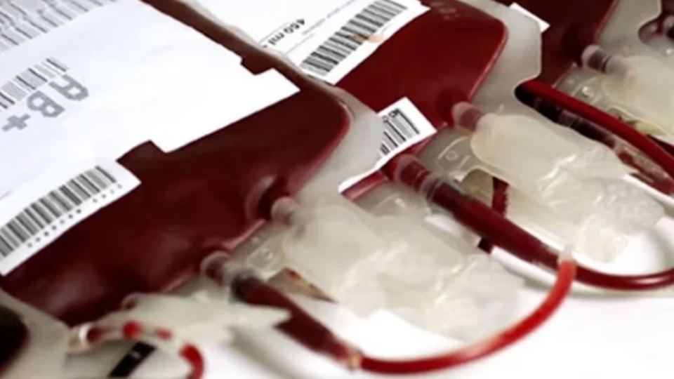 Pacientes con leucemia necesitan transfusiones de sangre a diario. Foto: Agencia NA.