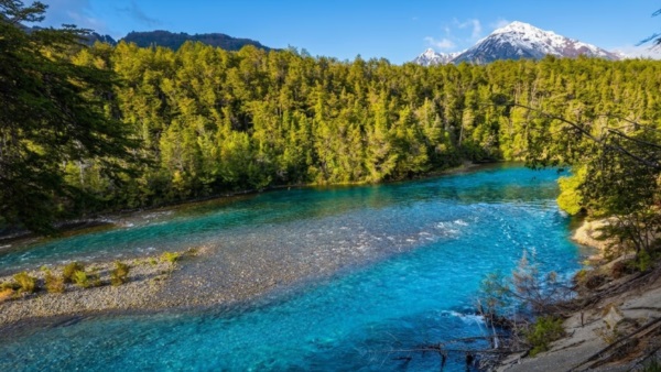 El Parque Nacional los Alerces alberga los alerzales más antiguos del pais. Foto: Agencia NA.