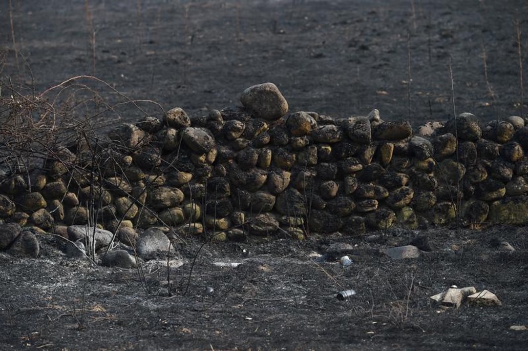 Área afectada por los incendios. Fotografía: Agencia Noticias Argentinas (Xinhua).