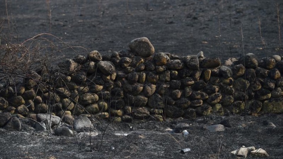 Área afectada por los incendios. Fotografía: Agencia Noticias Argentinas (Xinhua).