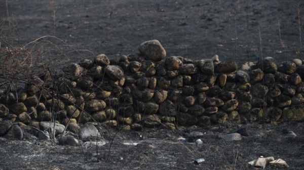 Área afectada por los incendios. Fotografía: Agencia Noticias Argentinas (Xinhua).