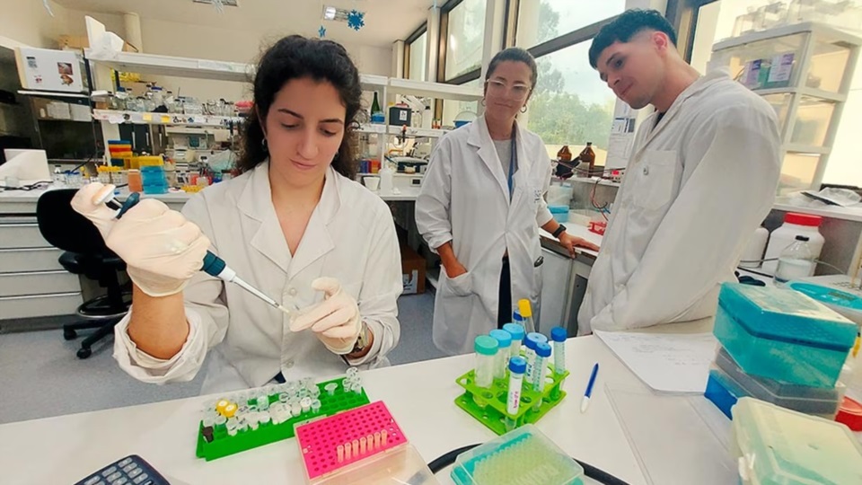 A diferencia de la mayoría de los tests actuales, que utilizan anticuerpos tradicionales, este desarrollo usa aptámeros como sensores moleculares.