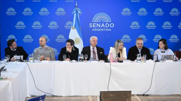 El Senado retomó debate sobre reforma de la Ley de Sociedades.