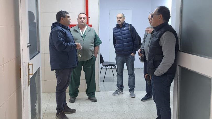 Wisky supervisando las refacciones.