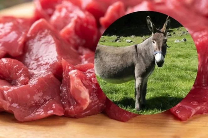 La carne de burro busca su lugar en Chubut.