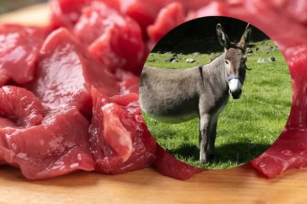 La carne de burro busca su lugar en Chubut.