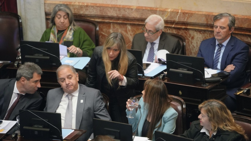 El senador Carlos Linares en la sesión.