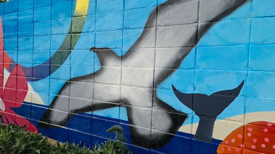 La inauguración se enmarcó en Día de la Sanidad y el Día del Artista Visual.
