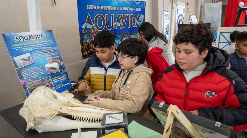 Hubo diferentes tipos de exposiciones.
